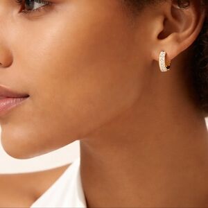 Gold and Silver Hoop Earrings